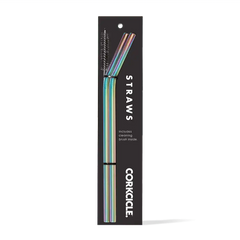 Tumbler Straw 2-Pack