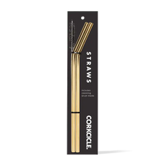 Tumbler Straw 2-Pack